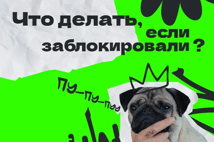 Z_wbRPFQhnUO2LoSjoTsH7VG4wQBNl9Lgx83a3pX_fit-in_1024x1024_filters_quality(80)_format(webp)_www.leocdn.ru_uploadsForSiteId_49823_content_2d82aef0-9171-40b8-8d53-65d3121662b6